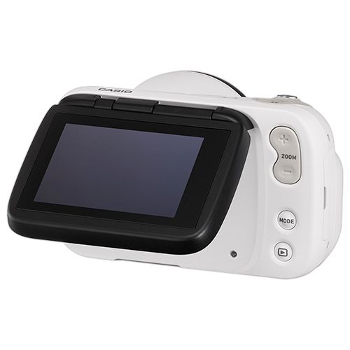 DZ-D100 Dermatology Camera