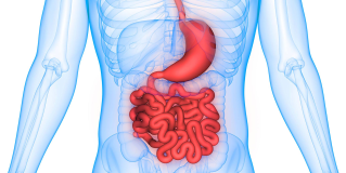Double Balloon Endoscopy 