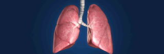 Bronchoscopy